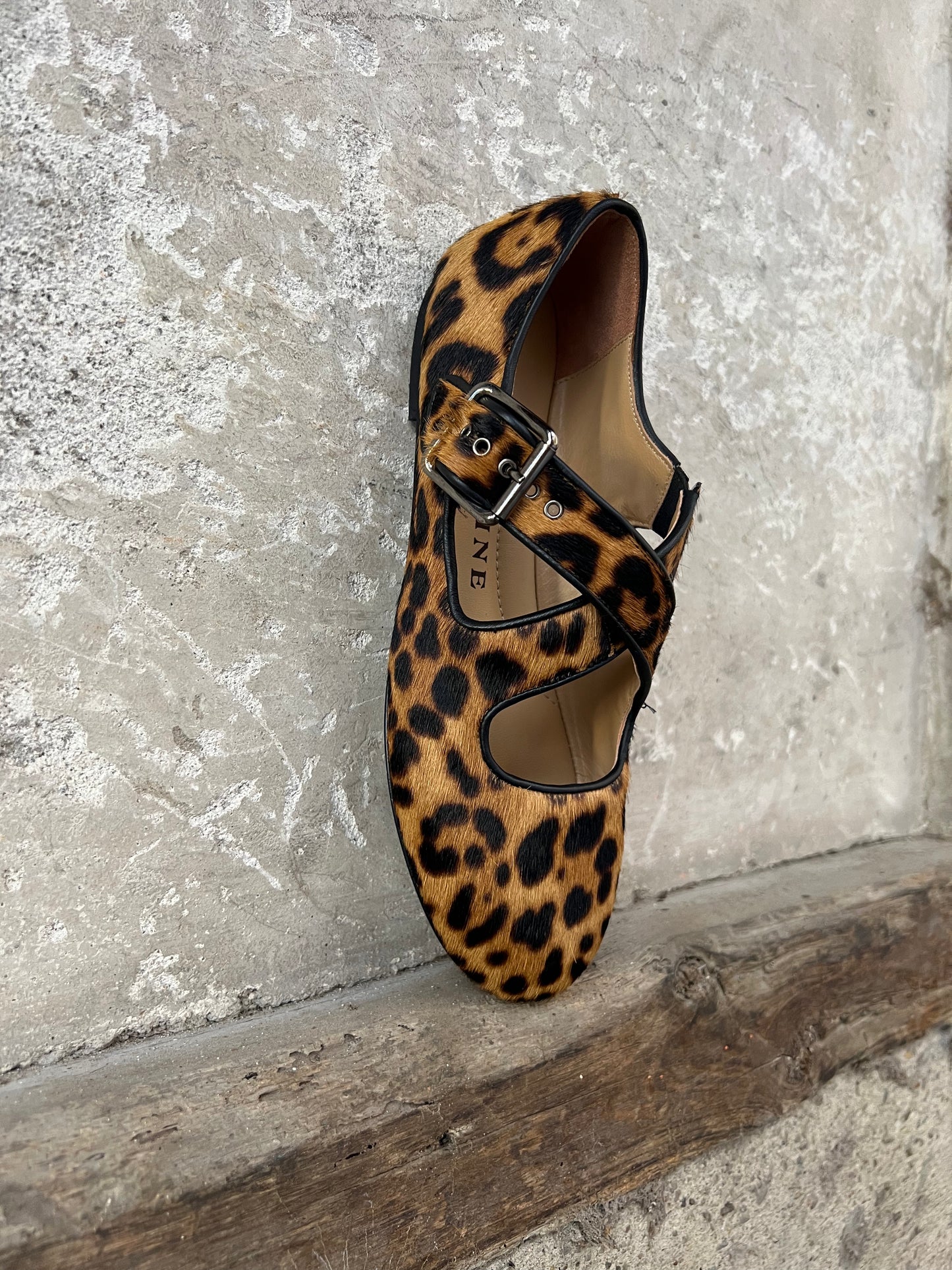 BALLERINA MACULATA PROSPERINE