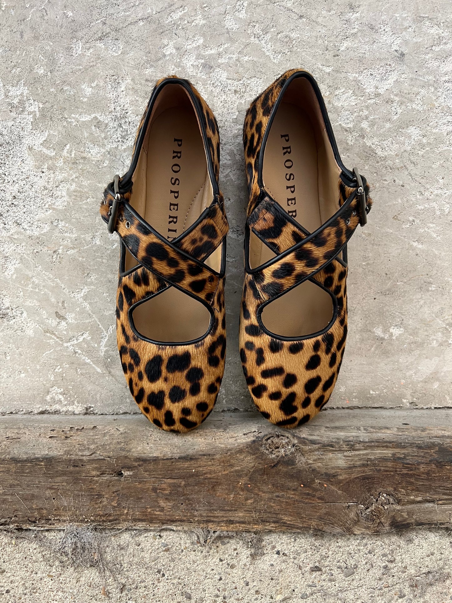 BALLERINA MACULATA PROSPERINE