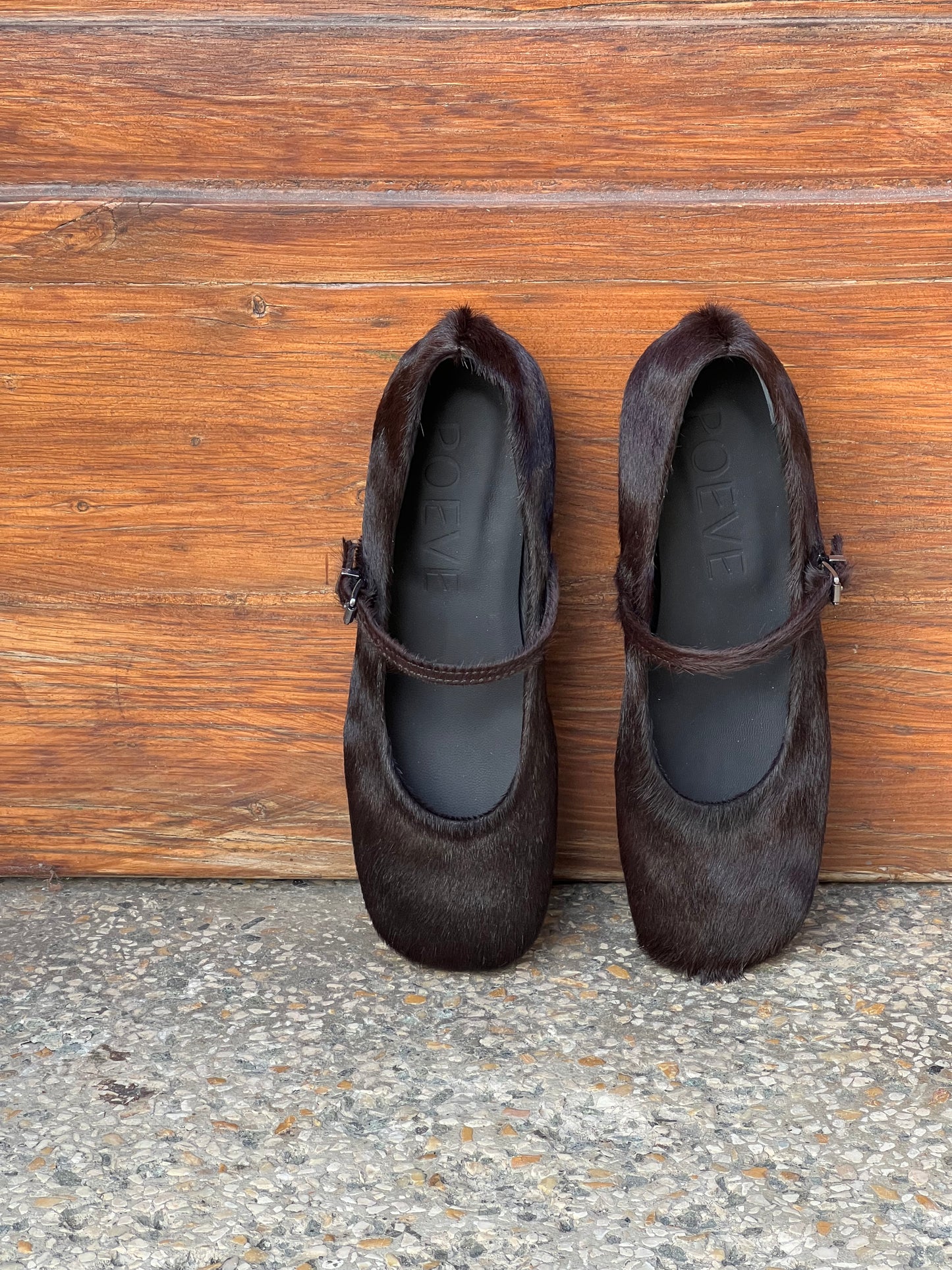 BALLERINA CAVALLINO POEVE